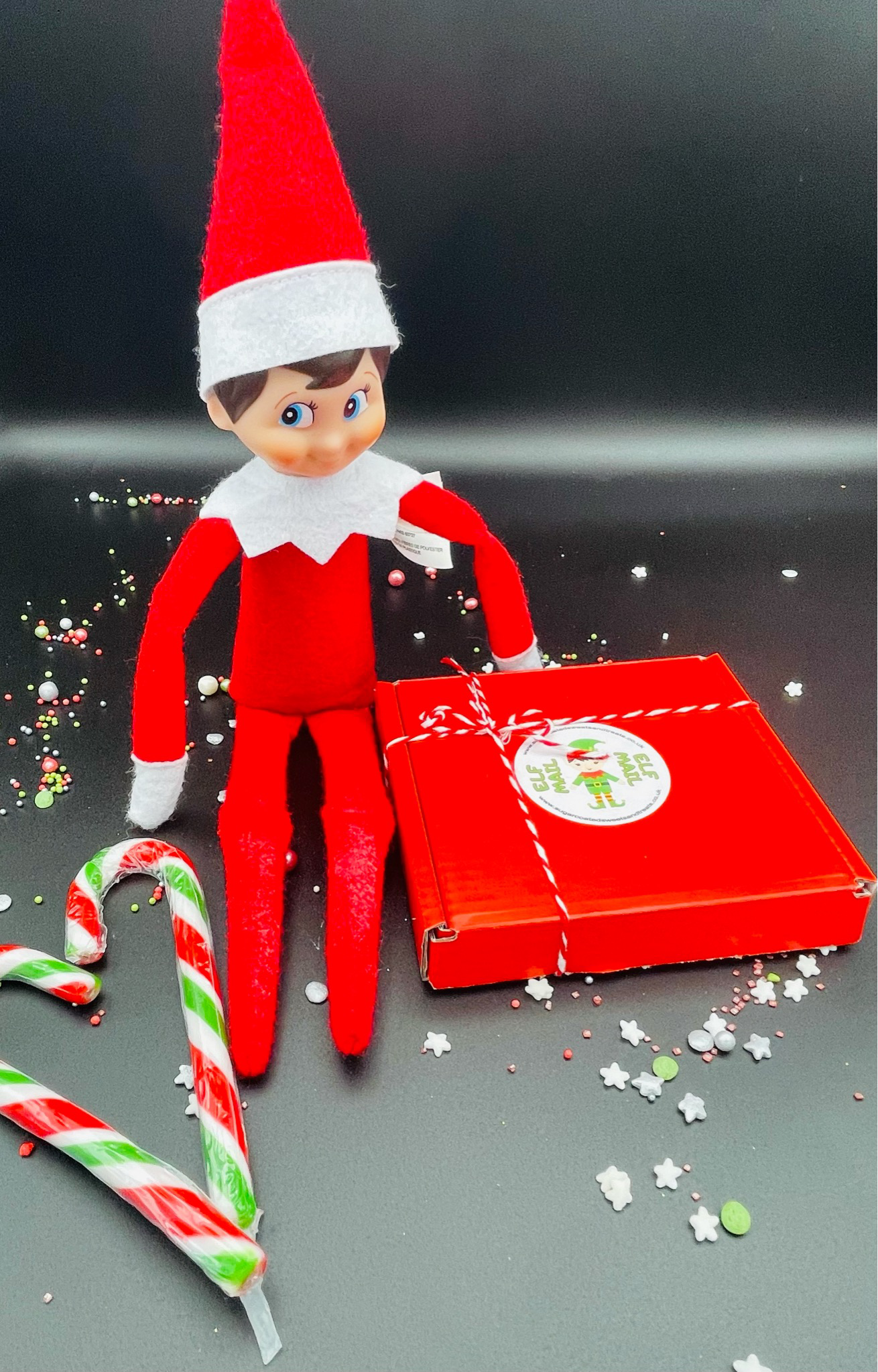 SugarCoated Elf Letterbox
