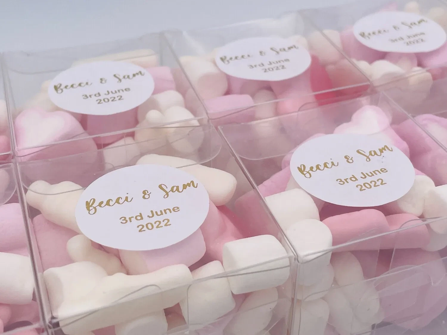 SugarCoated Cube Favours