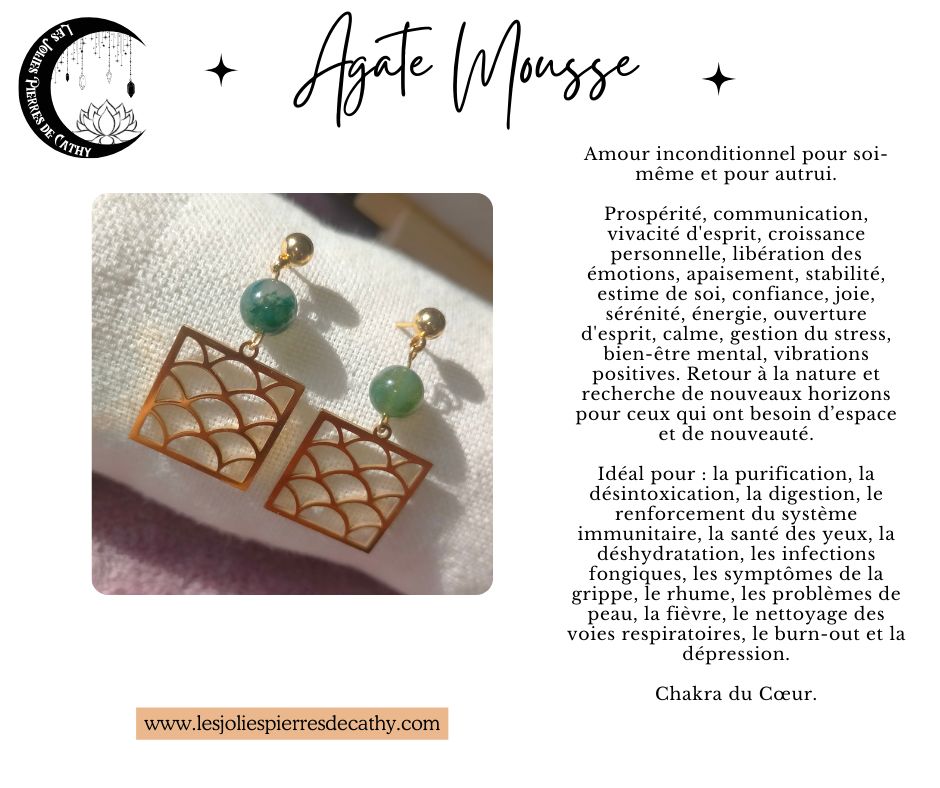 Boucle d&#39;oreille Écailles