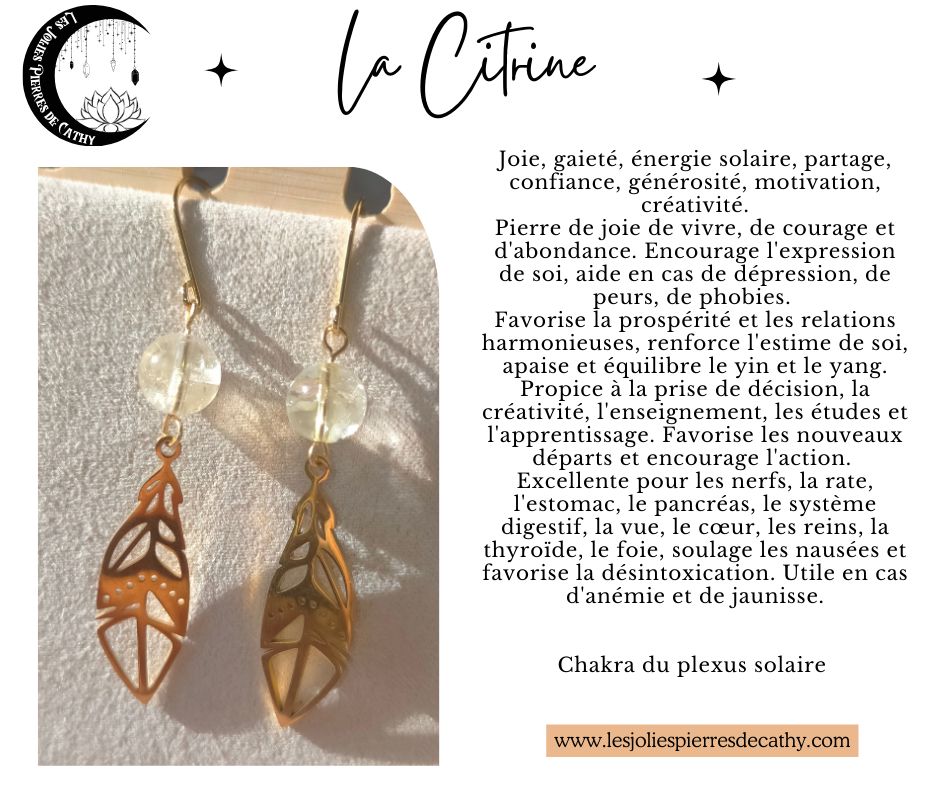 Boucle d&#39;oreille Plume