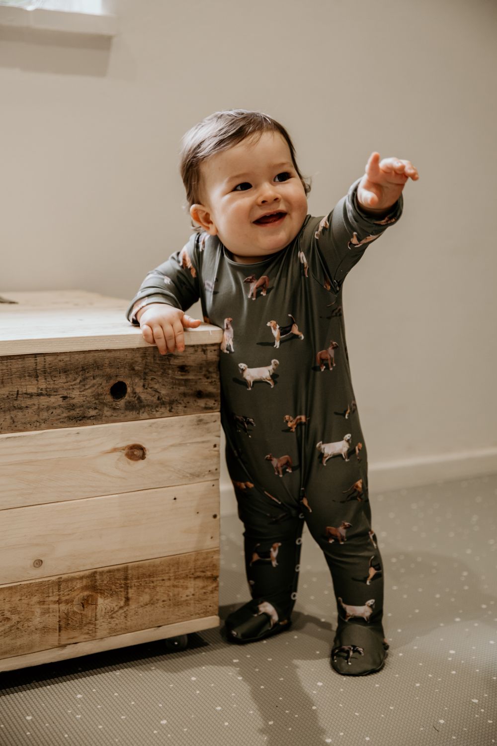 doggie babygrow