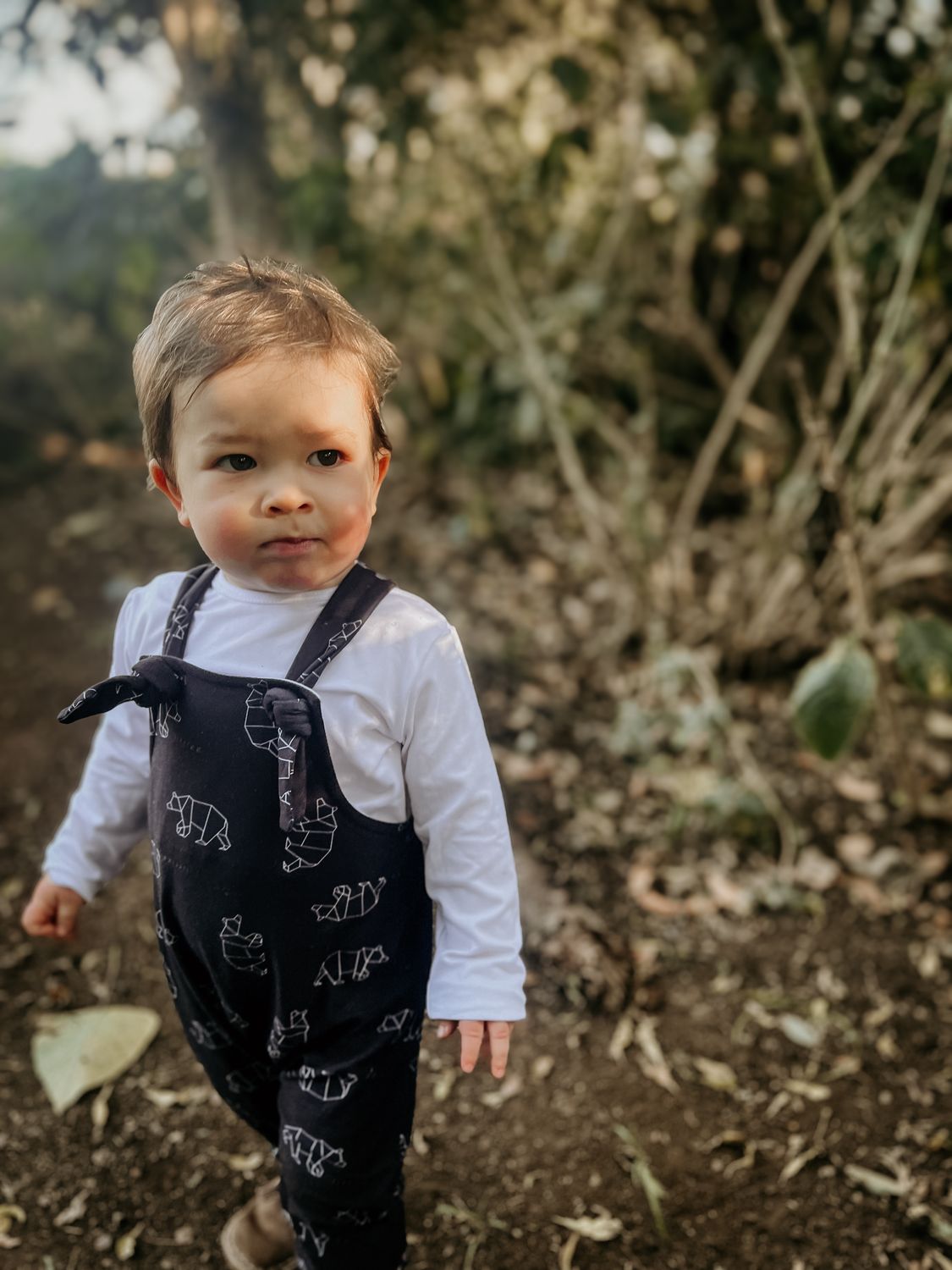 bear long dungarees