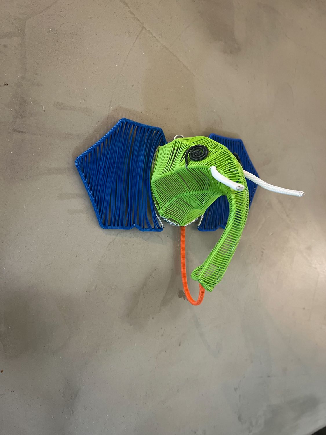 scoobie safari hooks