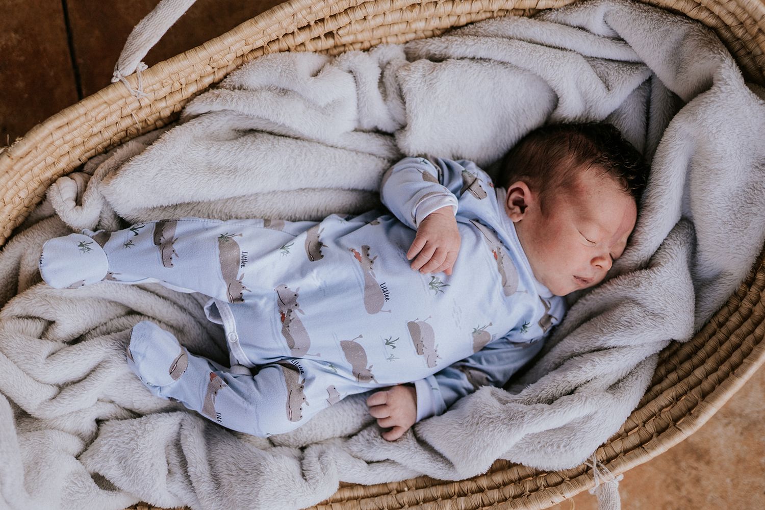hippo babygrow