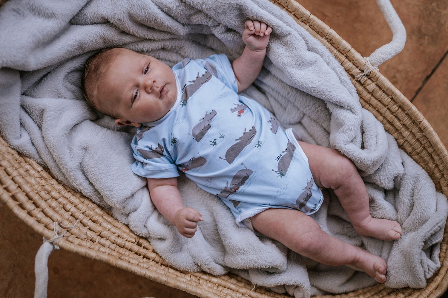 hippo short sleeve bodysuit