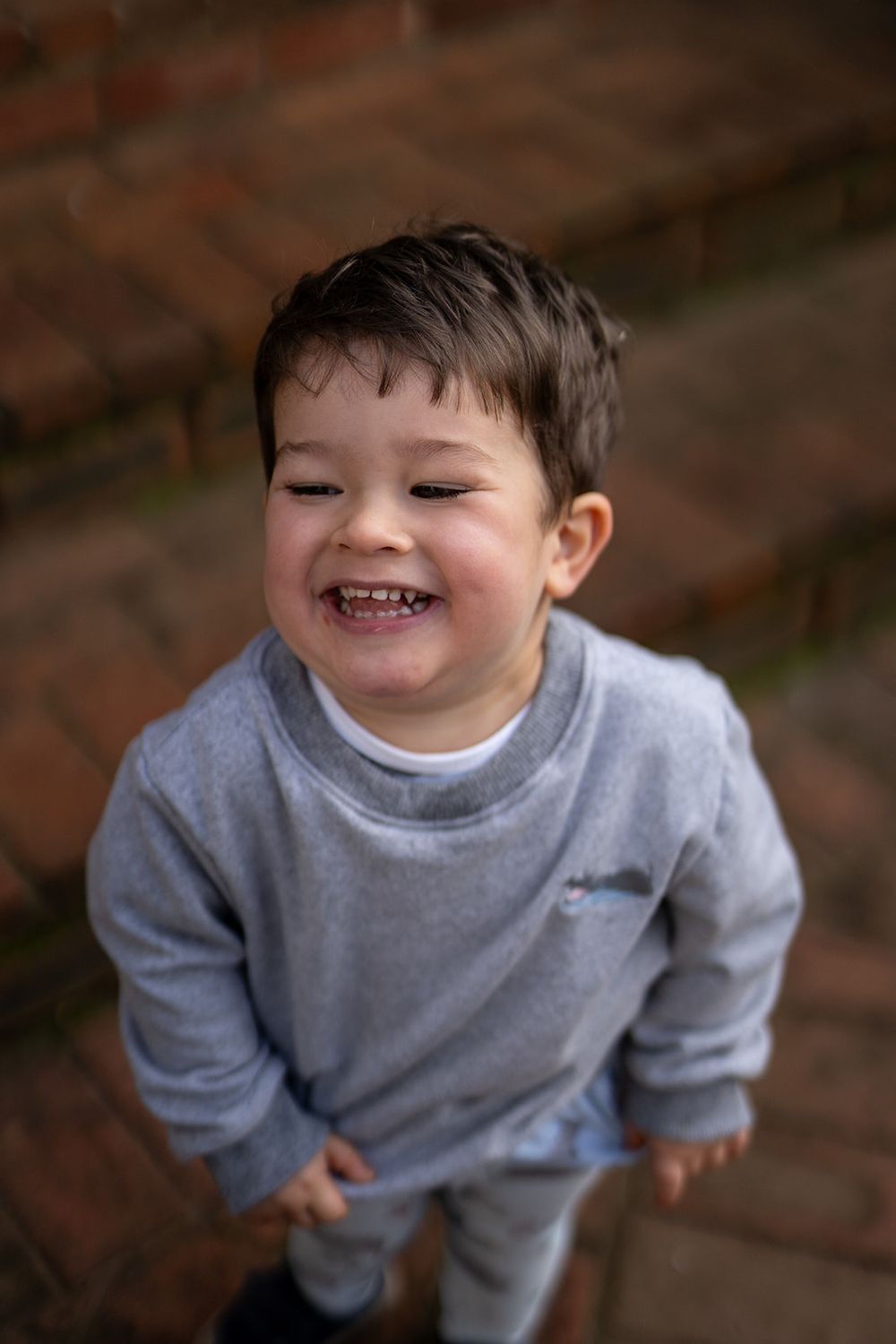grey regen hippo sweater