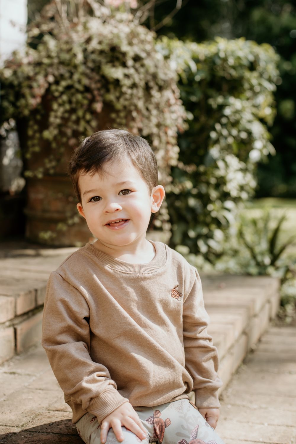 stone regen turtle sweater