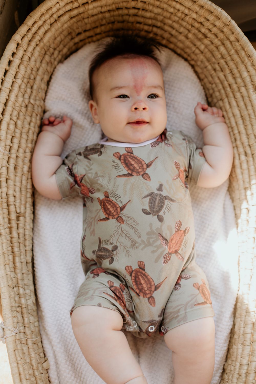 turtle romper