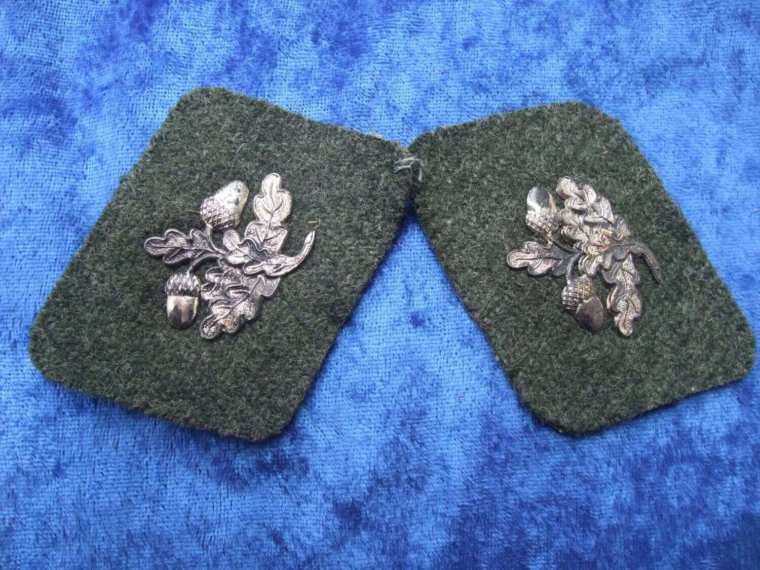 1 Paar Kragenspiegel Freikorps Osterroth