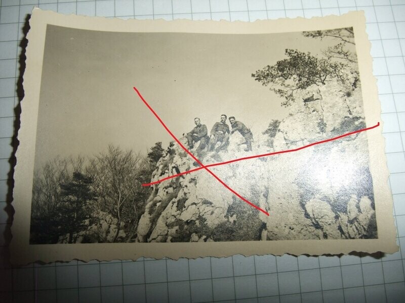 O166, Foto SS Soldaten Wiking