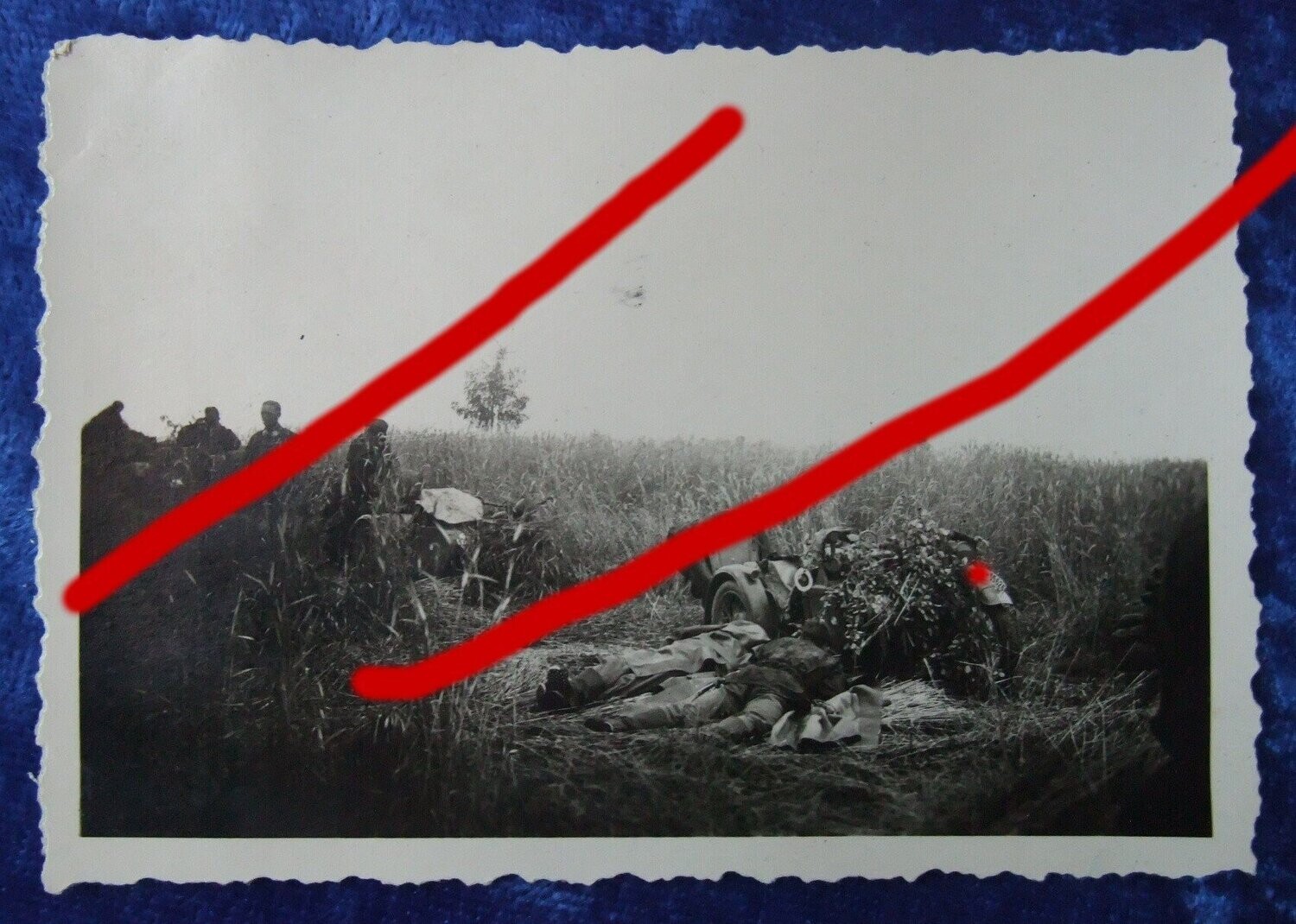 O214, SS Totenkopf Motorrad Beiwagenkrad Tarnuniform