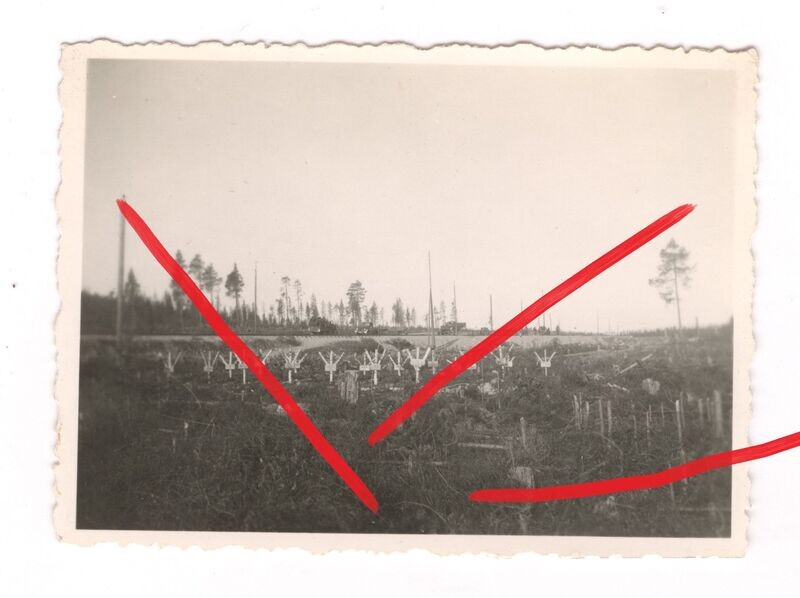 Waffen-SS: Foto Friedhof, Gräber, C12. Waffen-SS: Foto Friedhof, Gräber, C12.