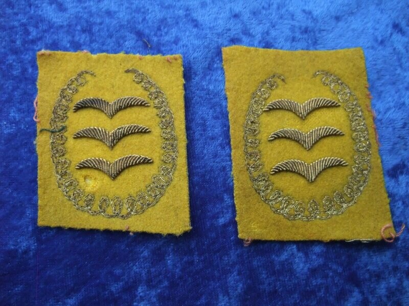 Luftwaffe: Paar Kragenspiegel für einen General, ganz frühe Form von 1933-1936. Selten! Luftwaffe: Paar Kragenspiegel für einen General, ganz frühe Form von 1933-1936. Selten!