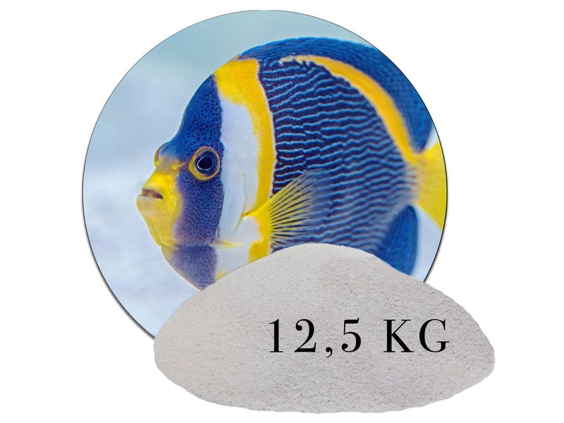 12,5 kg Naturweiß Aquariumsand aquariumsand aquariumkies bodengrund kaufen