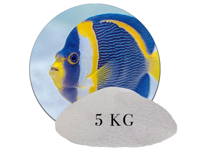 Aquariumsand Aquariensand Aquarienkies Aquariumkies kaufen aquariumsand aquariumkies bodengrund kaufen