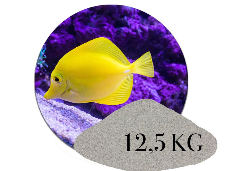 12,5 kg Aquariumsand Naturgrau aquariumsand aquariumkies bodengrund kaufen