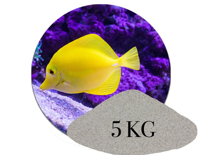 5 kg Aquariumsand Naturgrau aquariumsand aquariumkies bodengrund kaufen