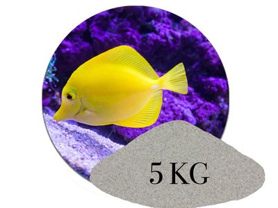 5 kg Aquariumsand Naturgrau aquariumsand aquariumkies bodengrund kaufen