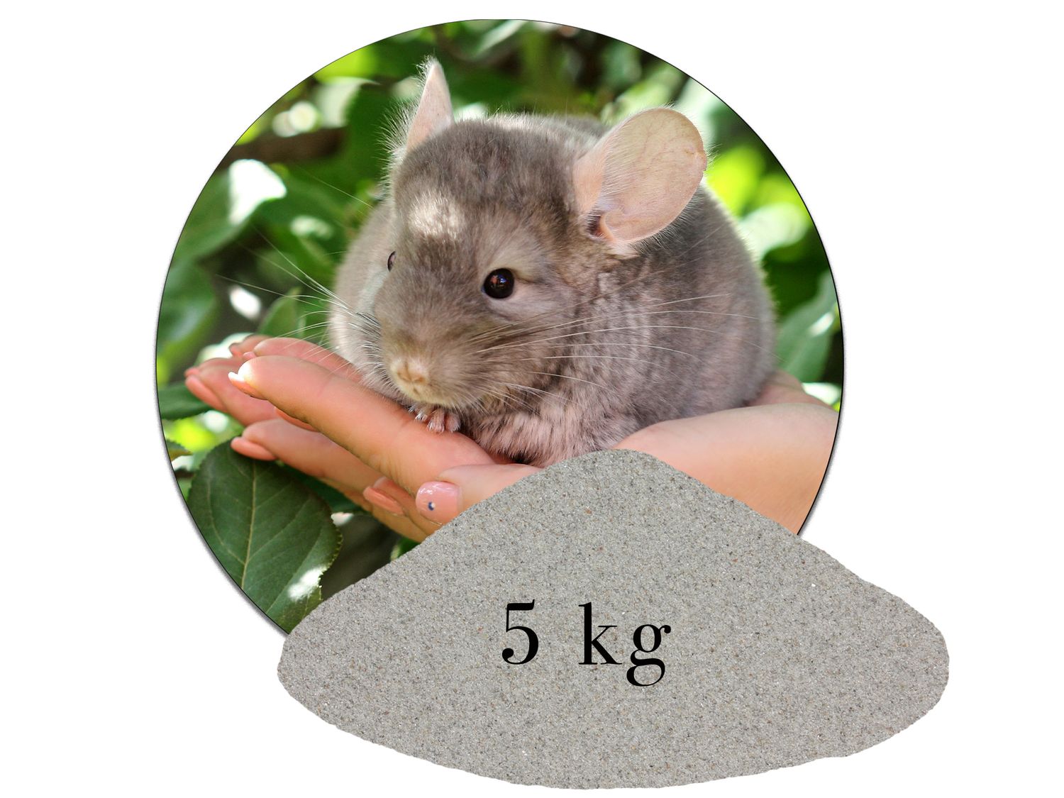 Chinchillasand Hamster Rennmäuse  kaufen