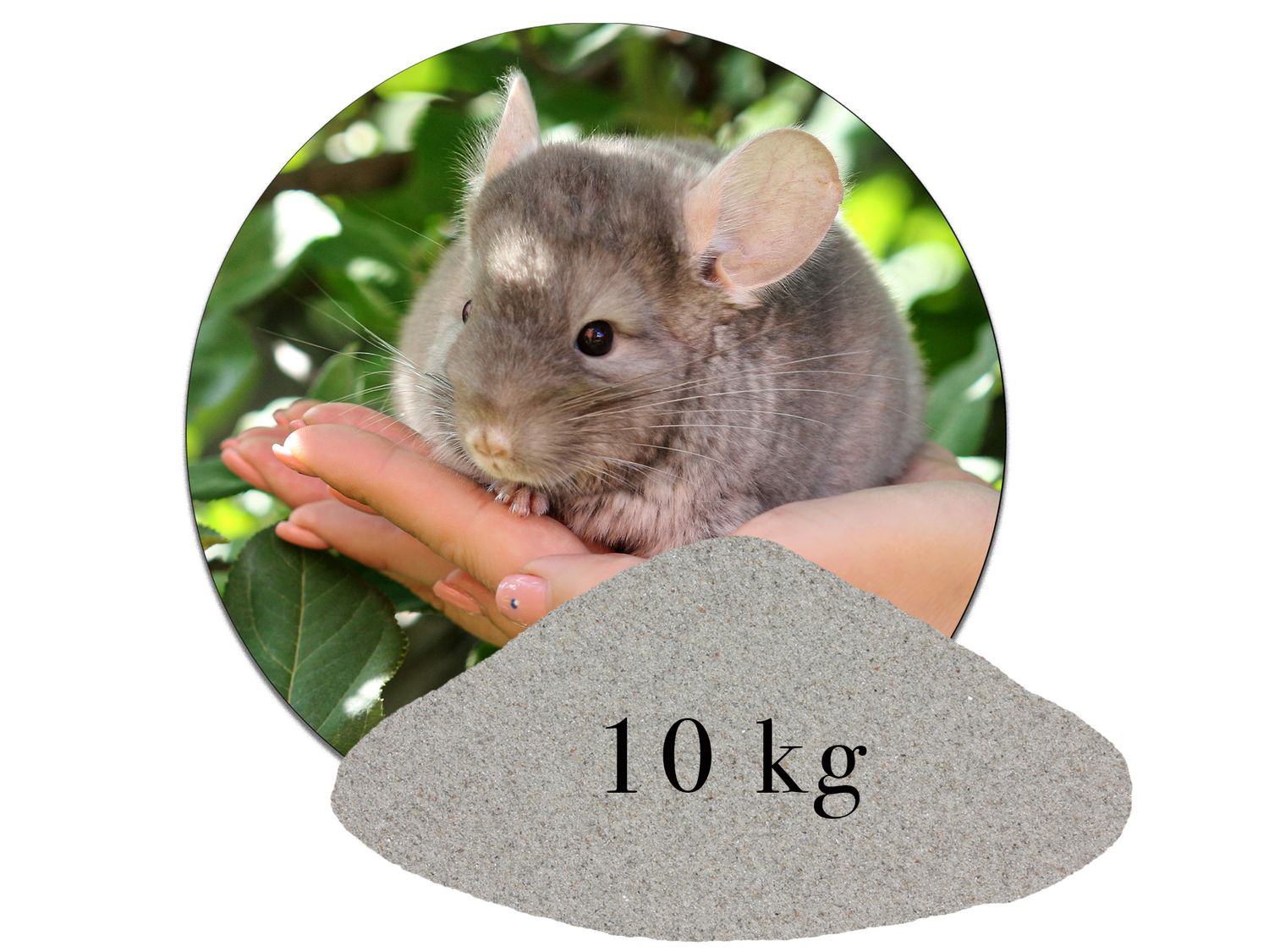 Chinchillasand Hamster Rennmäuse  kaufen