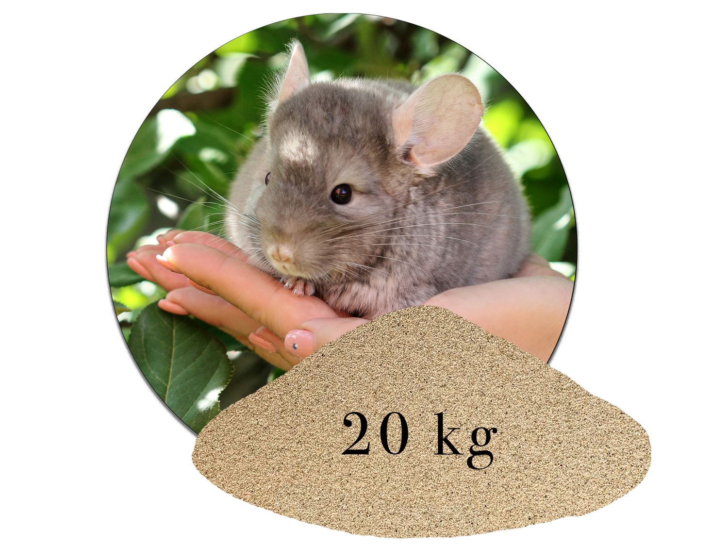Chinchillasand Hamster Rennmäuse  kaufen