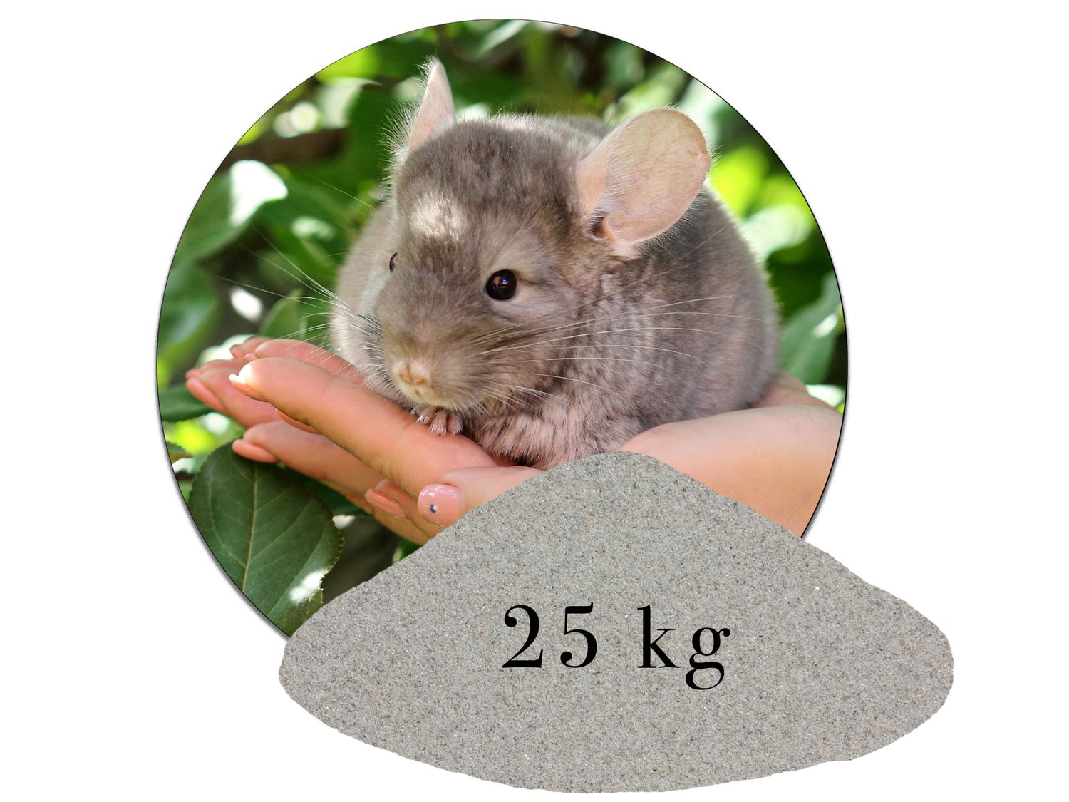 Chinchillasand Hamster Rennmäuse  kaufen
