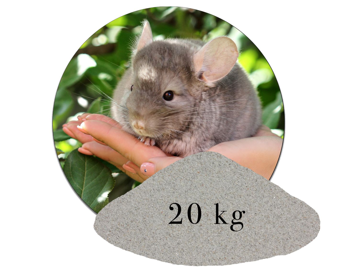 Chinchillasand Hamster Rennmäuse  kaufen