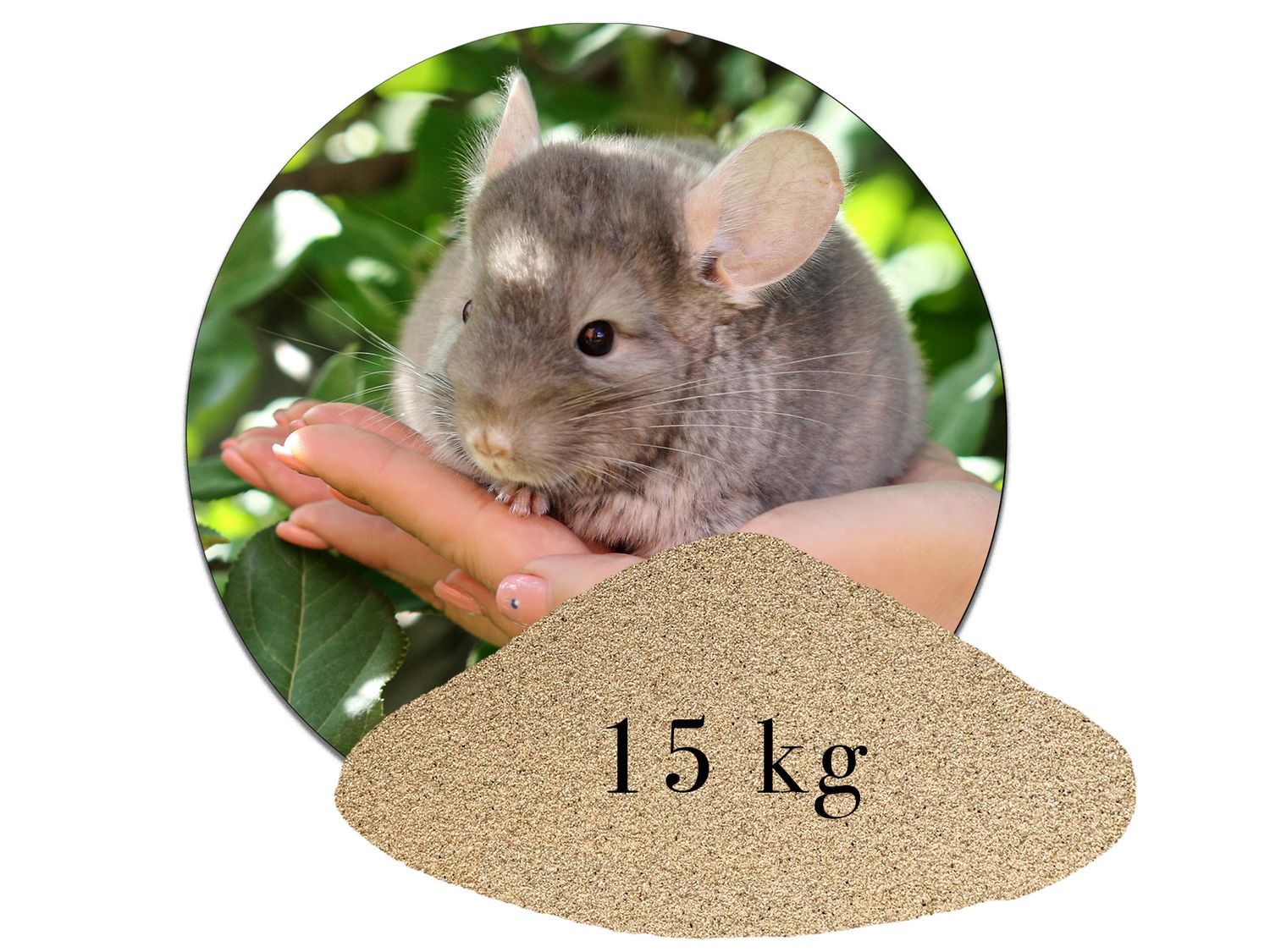 Chinchillasand Hamster Rennmäuse  kaufen