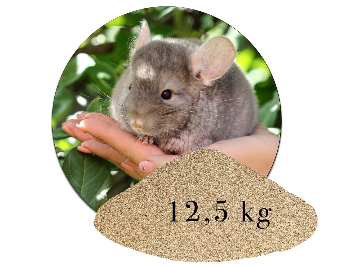 Chinchillasand Hamster Rennmäuse  kaufen