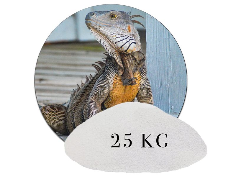 25 kg Naturweiß Terrariumsand Terrariumsand