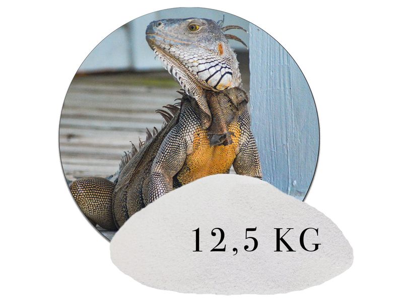 12,5 kg Naturweiß Terrariumsand Terrariumsand