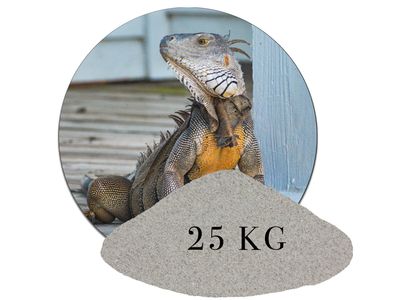 25 kg Terrariumsand Naturgrau Terrariumsand