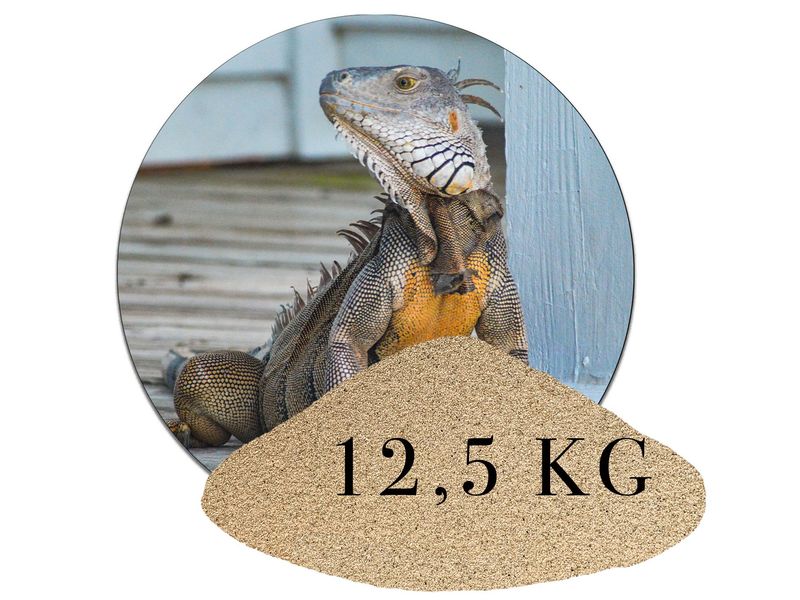 12,5 kg Terrariumsand Naturbeige Terrariumsand