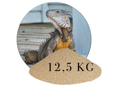 12,5 kg Terrariumsand Naturbeige Terrariumsand