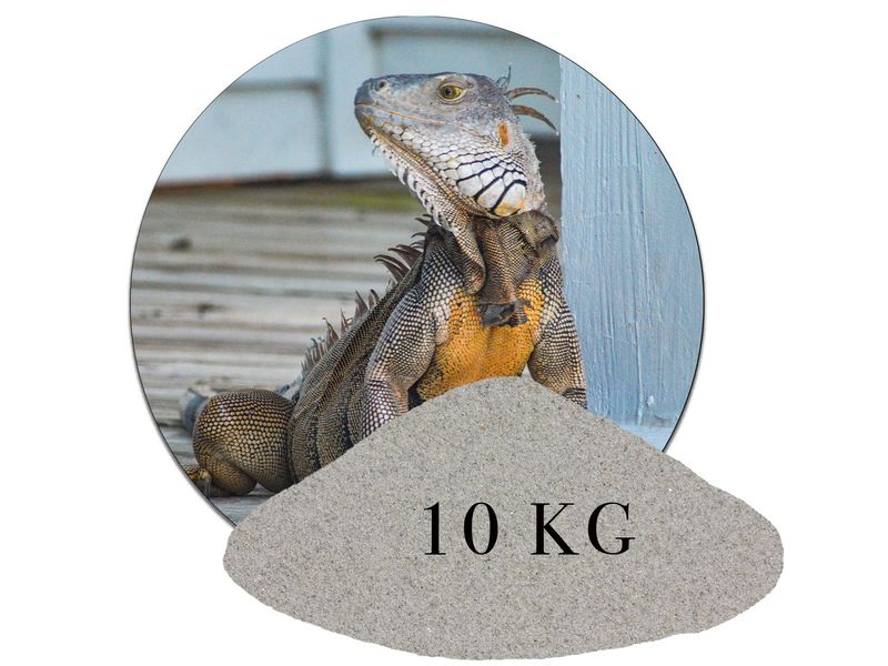 10 kg Terrariumsand Naturgrau Terrariumsand