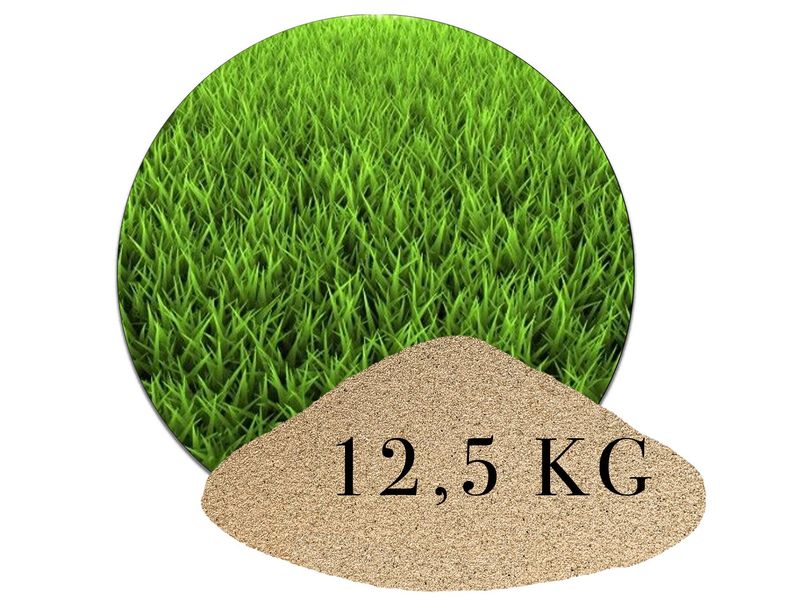 12,5 KG Rasensand Naturbeige 12,5 KG Rasensand Naturbeige