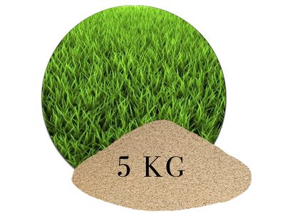 5 KG Rasensand Naturbeige 5 KG Rasensand Naturbeige – Produktbild