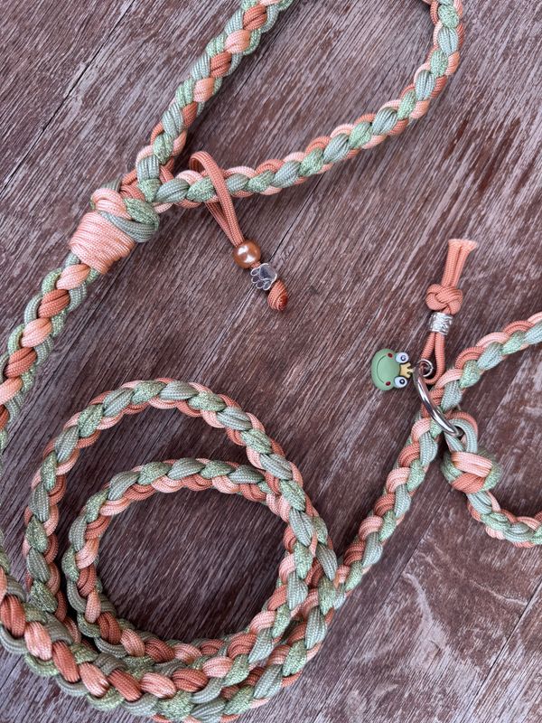 Treccia Retriever