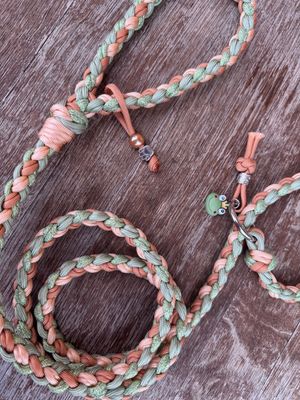 Treccia Retriever