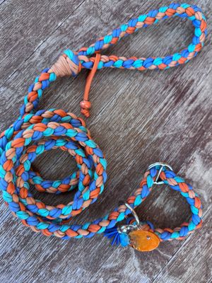 Treccia Retriever