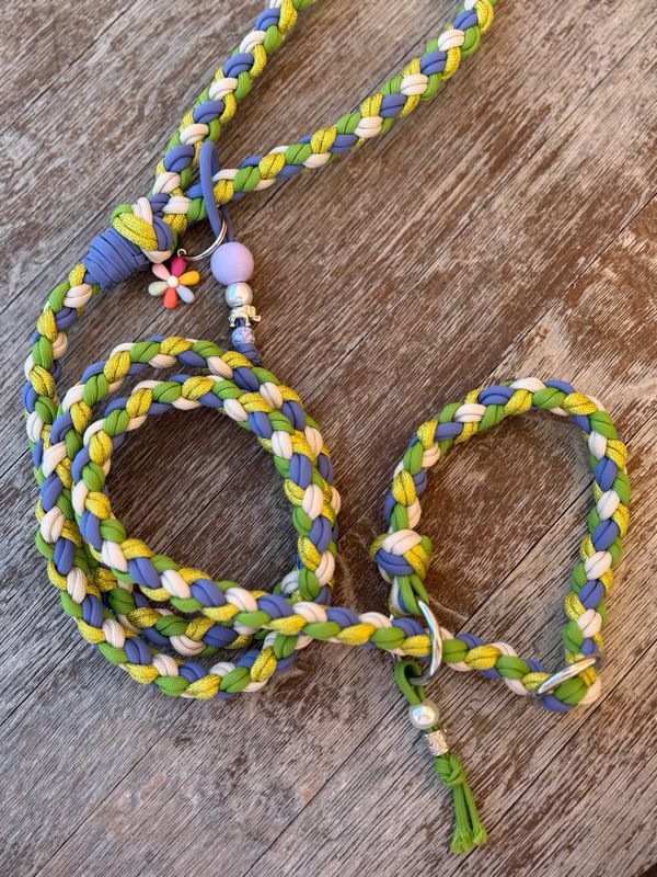 Treccia Retriever