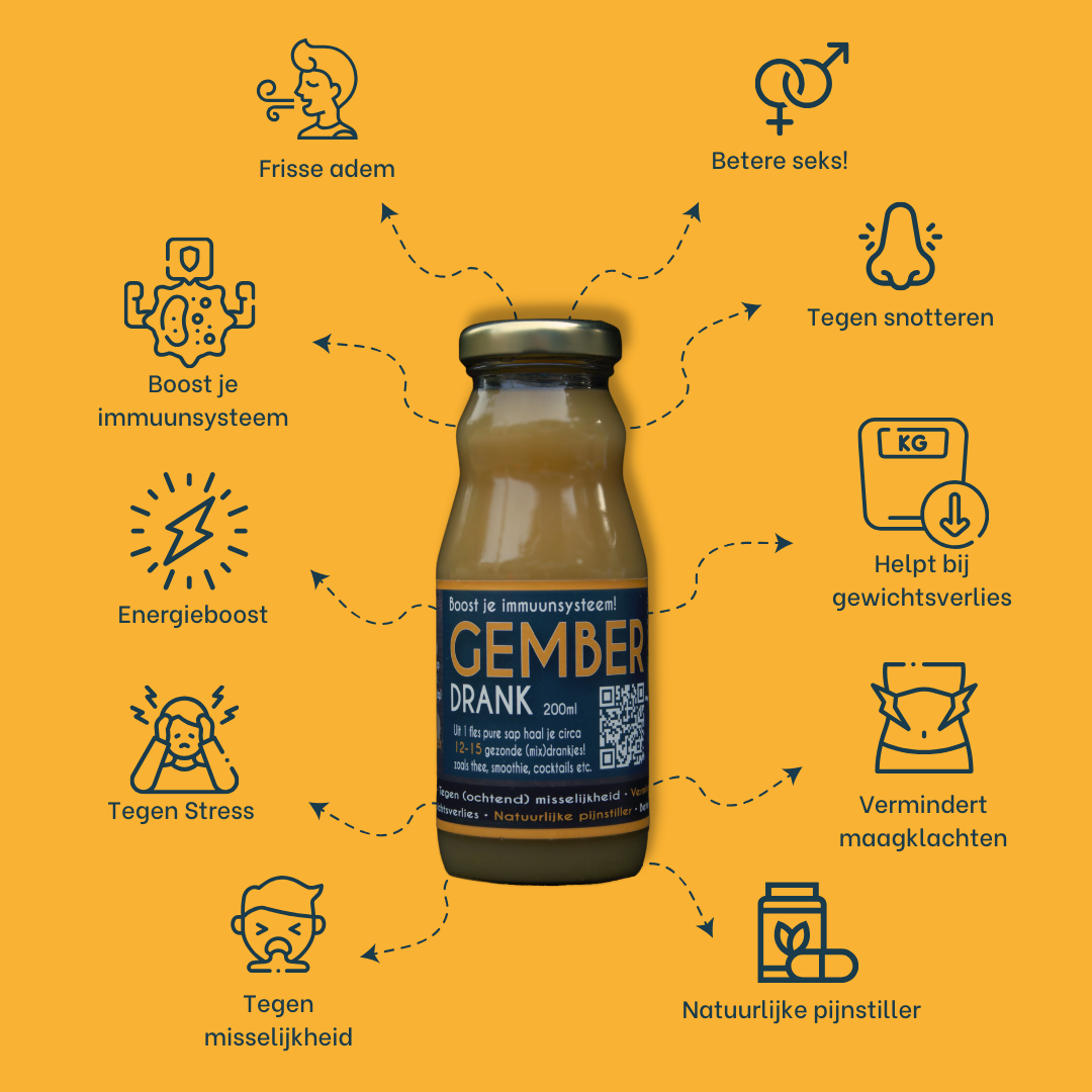 3 x 200ml  (10-12 Shots) - Pure Gemberdrank