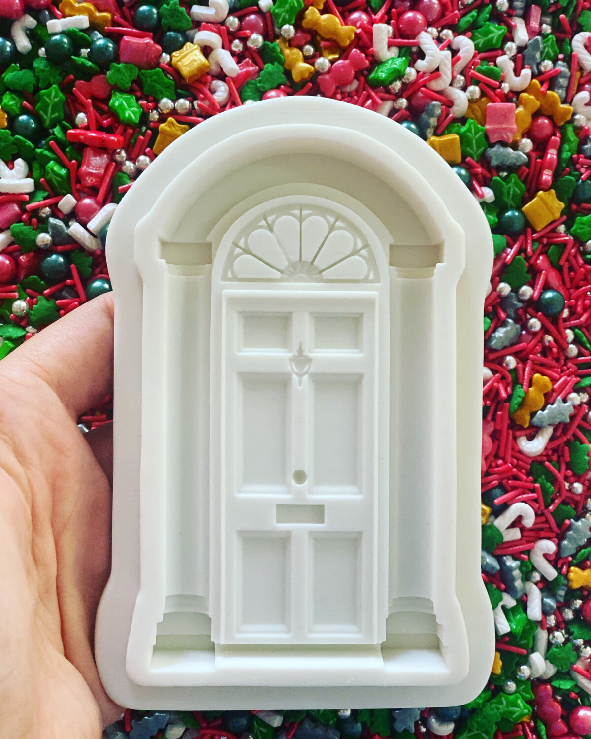 Door Mold