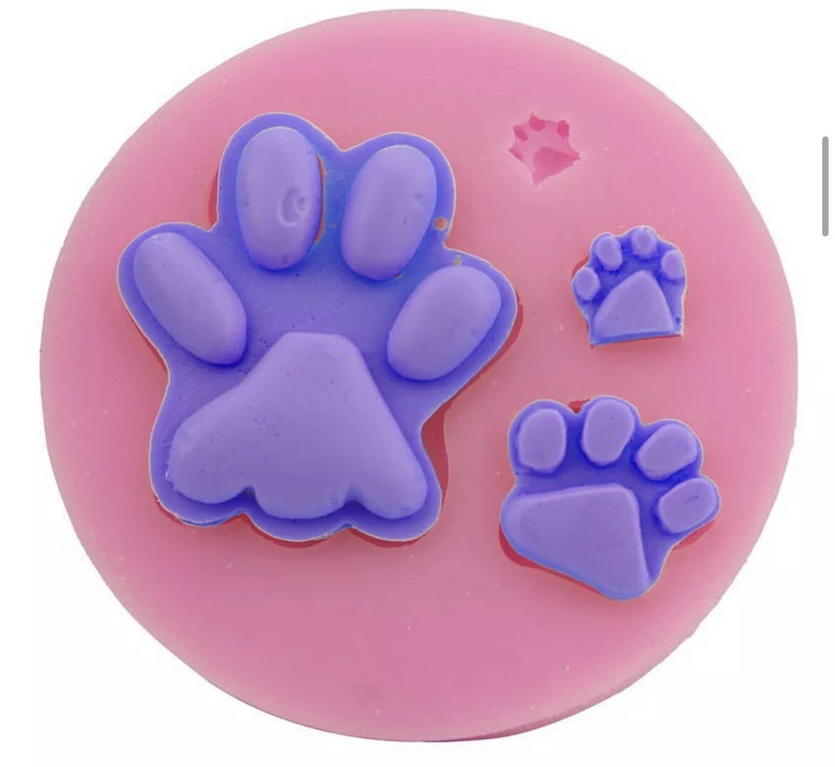 Paw Silicone Mold