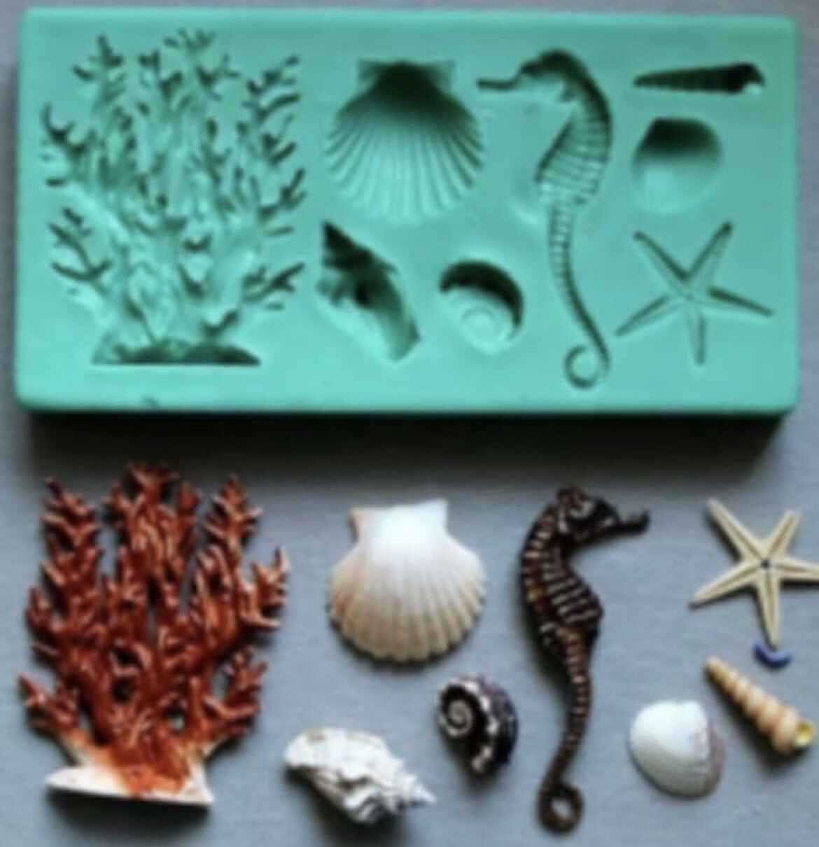 Ocean Sea Silicon Mold