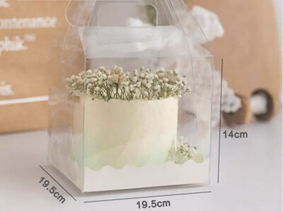 Transparent Cake Box + Tray Lot / 5 Box