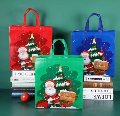 Non-Woven Christmas Gift Bag 
