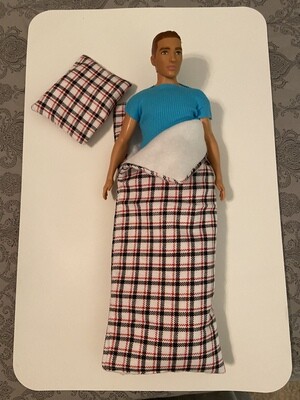 Sleeping bag