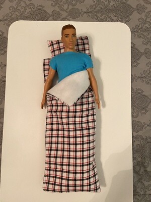 Sleeping bag