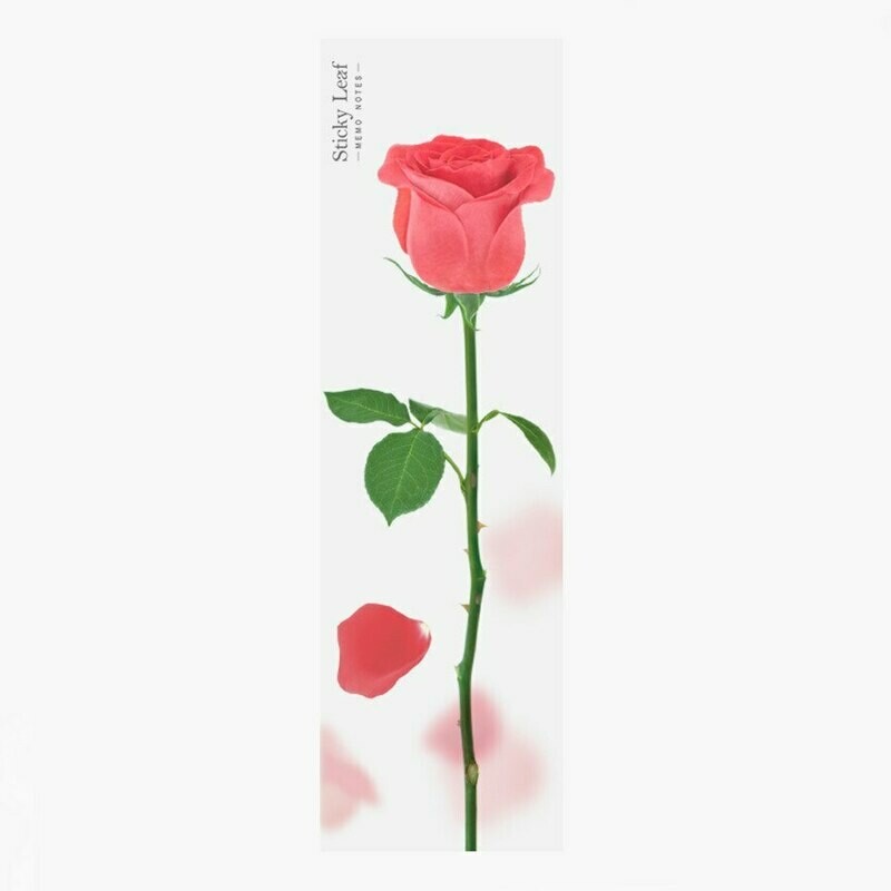 Standing Rose